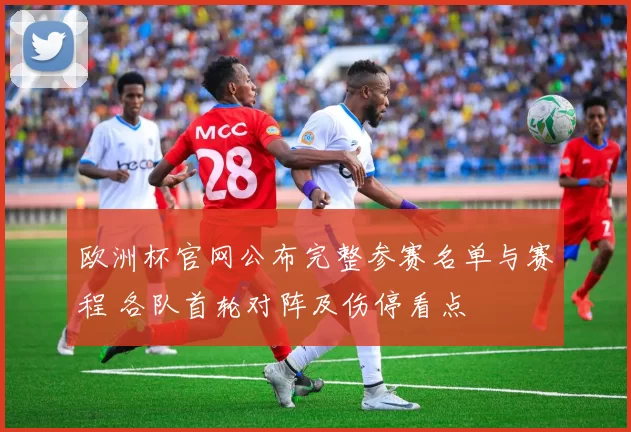欧洲杯官网公布完整参赛名单与赛程 各队首轮对阵及伤停看点