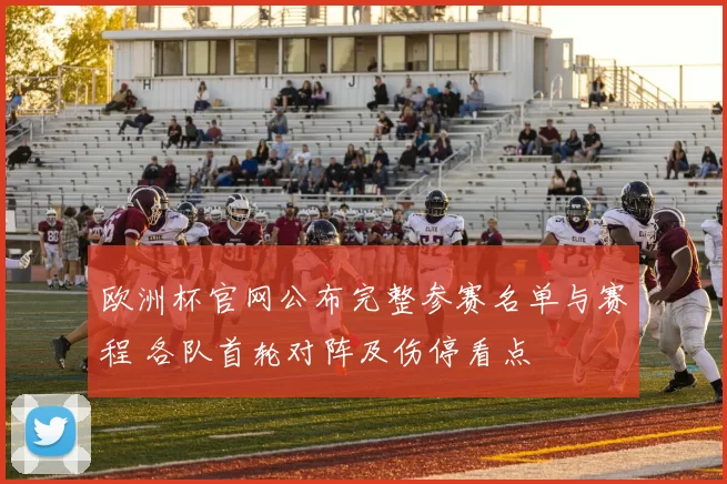 欧洲杯官网公布完整参赛名单与赛程 各队首轮对阵及伤停看点