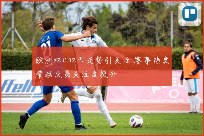 欧洲杯chz币走势引关注 赛事热度带动交易关注度提升