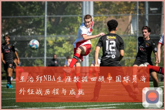 王治郅NBA生涯数据回顾中国球员海外征战历程与成就